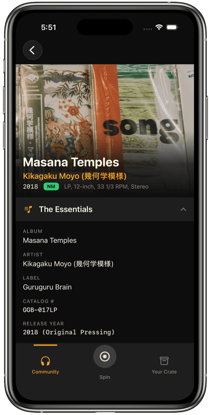 Vinyl Identifier app showing record identification